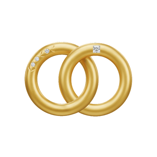 Marriage-vector